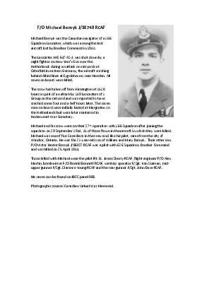 A preview of a PDF biography for Bernyk, Michael